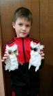 Sovice_ (4)